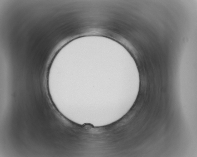 X0000111131480200908111029