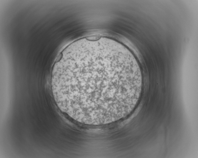 X0000111131481200908111029