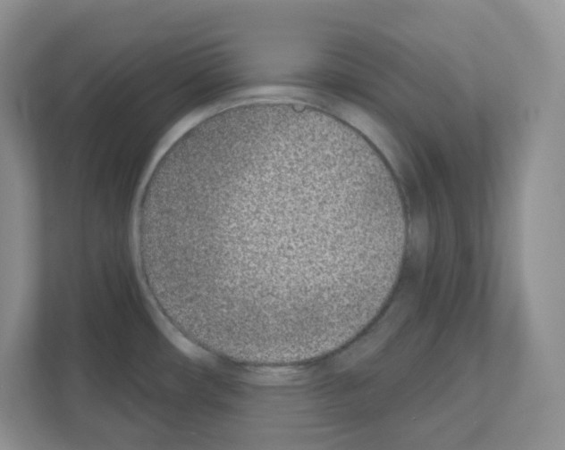 X0000111131482200908111029
