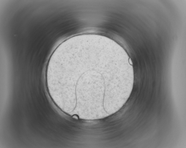 X0000111131483200908111029