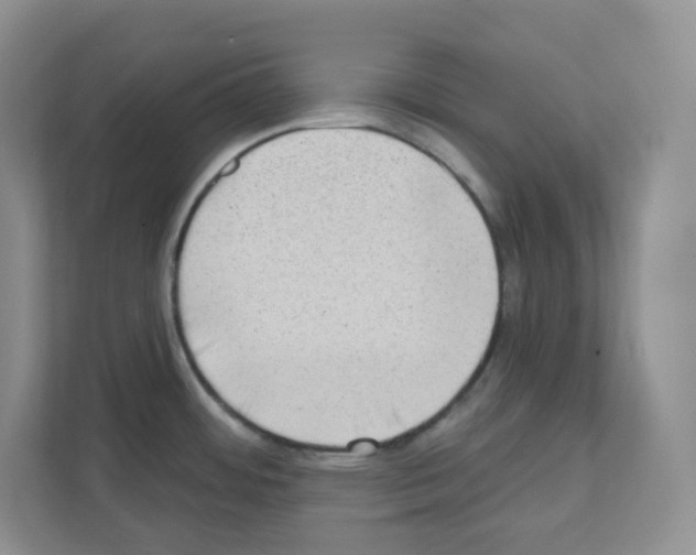 X0000111131484200908111029