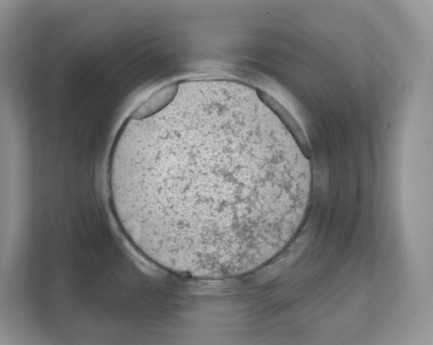 X0000111131485200908111029