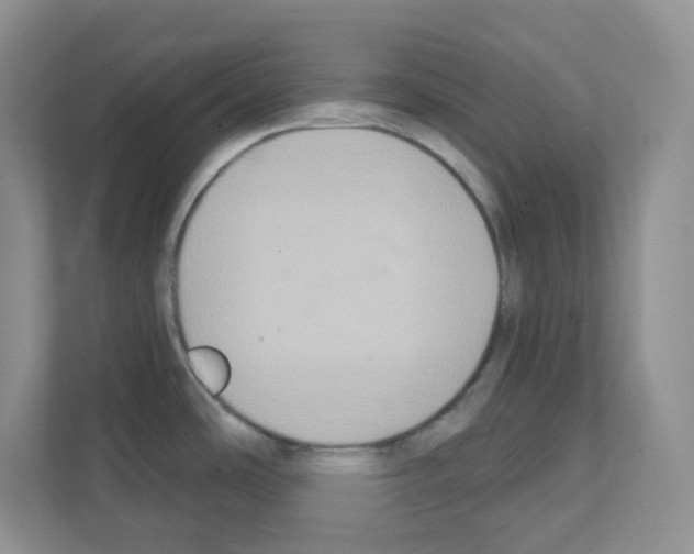 X0000111131486200908111029