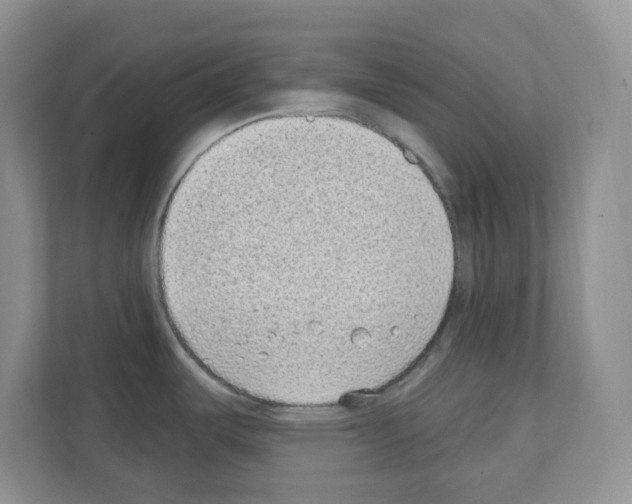 X0000111131487200908111029