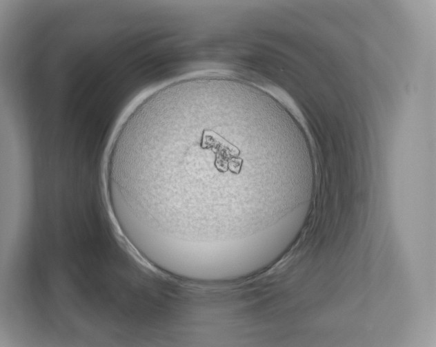 X0000111131488200908111029