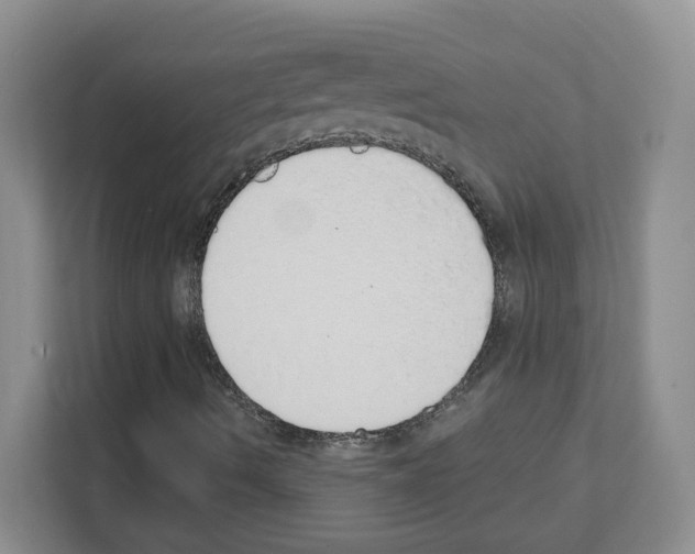 X0000111131490200908111028