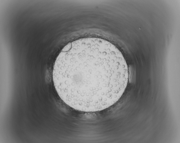X0000111131491200908111028