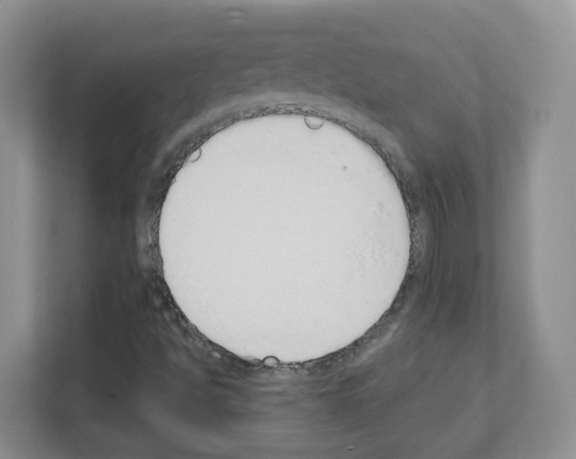 X0000111131494200908111028