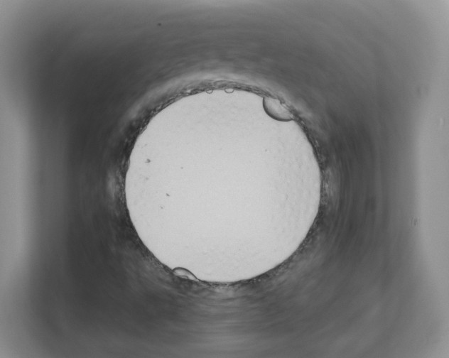 X0000111131495200908111028