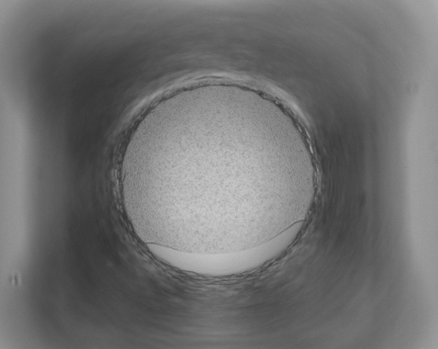 X0000111131496200908111028