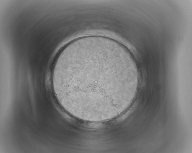 X0000111131498200908111028