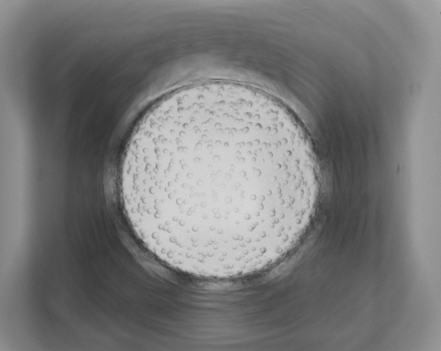 X0000111131499200908111028