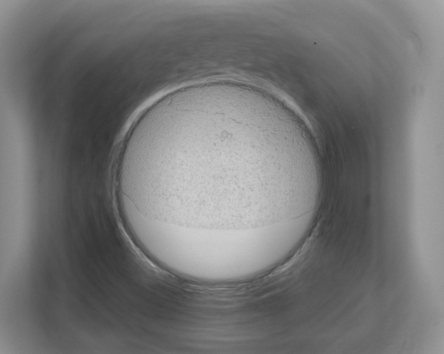 X0000111131500200908111028