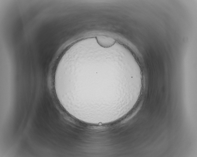 X0000111131501200908111028