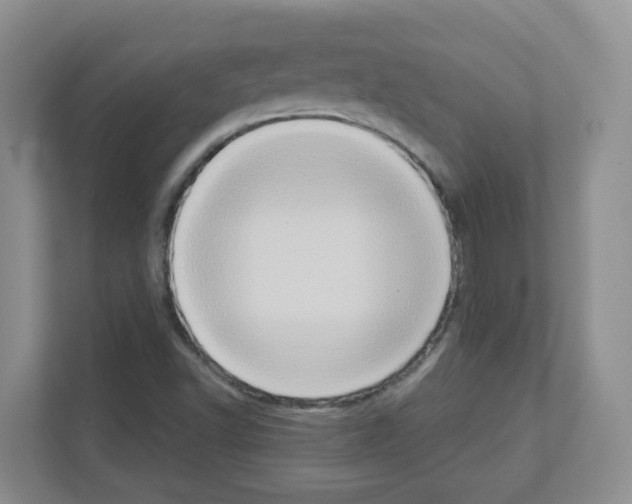 X0000111131502200908111028