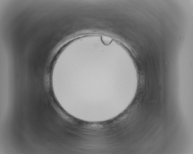 X0000111131503200908111028