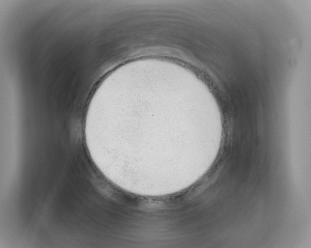 X0000111131505200908111028