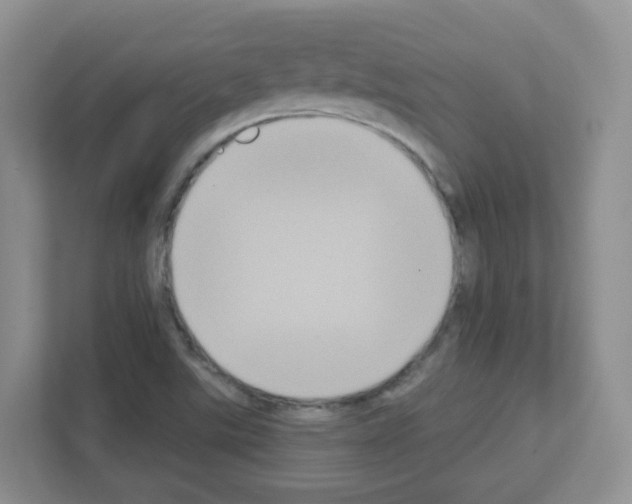 X0000111131507200908111028