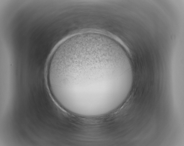 X0000111131508200908111028
