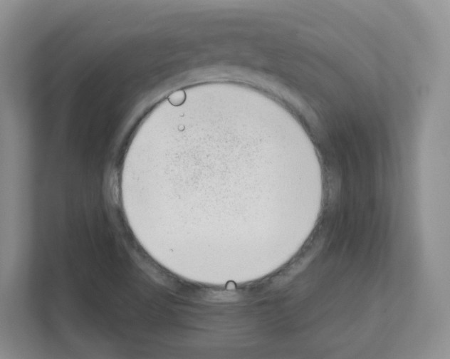 X0000111131509200908111028