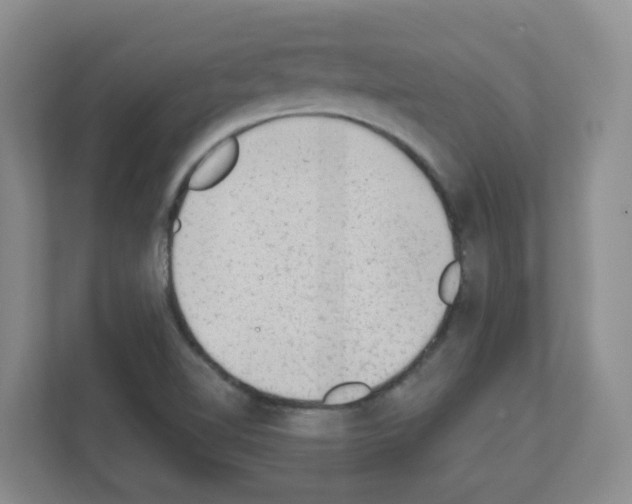 X0000111131510200908111028