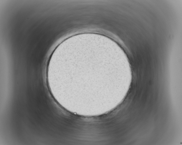 X0000111131512200908111028