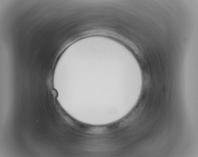 X0000111131513200908111028