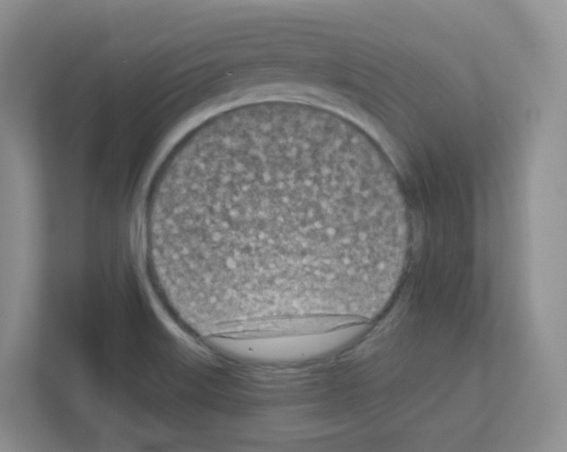 X0000111131515200908111029