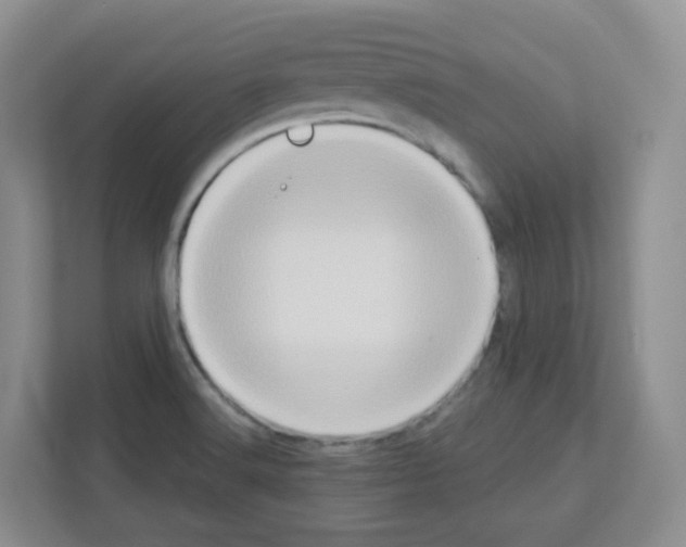 X0000111131516200908111029