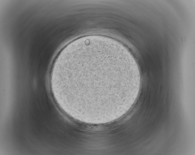 X0000111131517200908111029