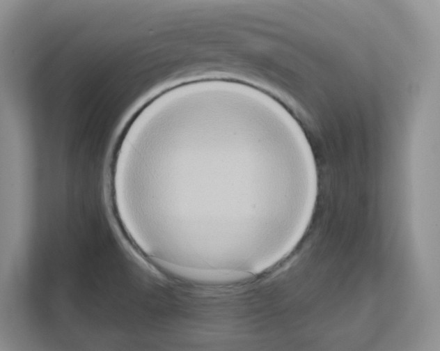 X0000111131518200908111029
