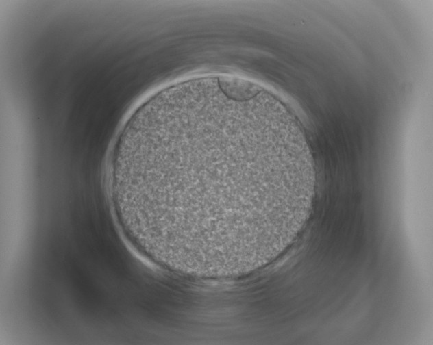 X0000111131519200908111029