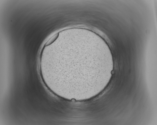 X0000111131520200908111029
