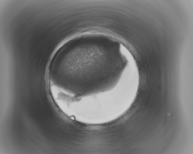 X0000111131522200908111029