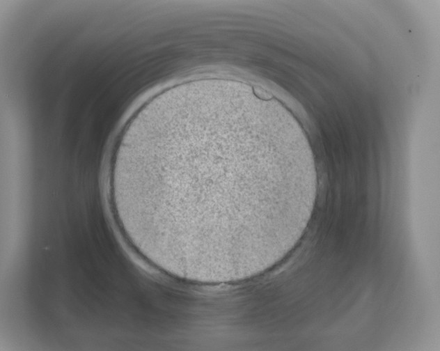X0000111131523200908111029
