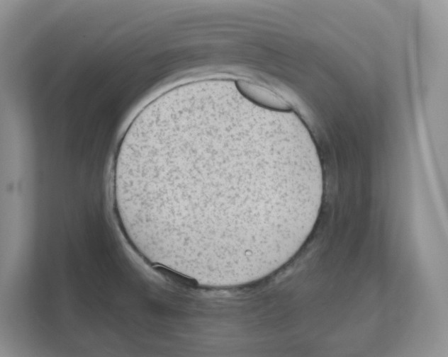 X0000111131524200908111029