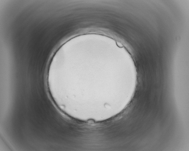 X0000111131525200908111029