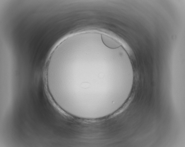 X0000111131526200908111029