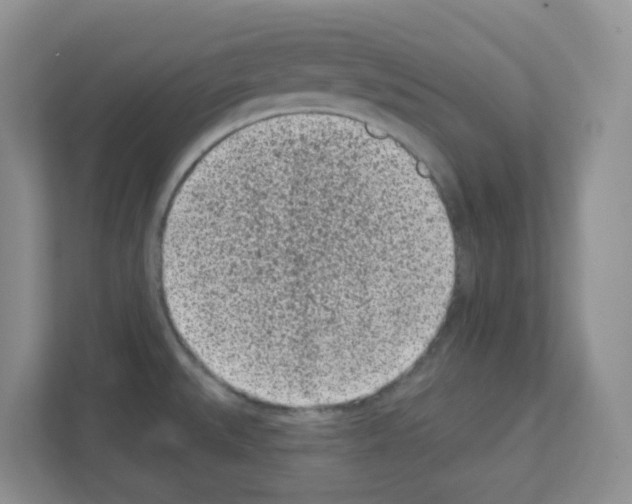 X0000111131527200908111029