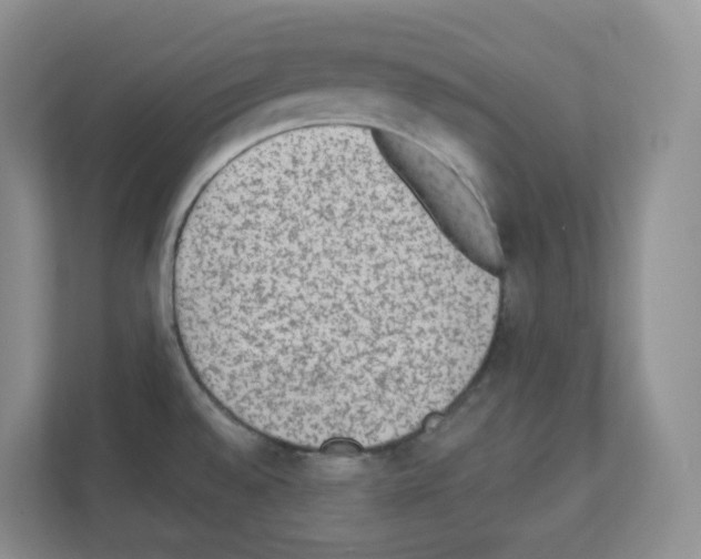 X0000111131528200908111029