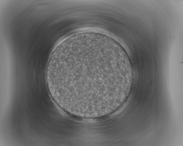 X0000111131529200908111029