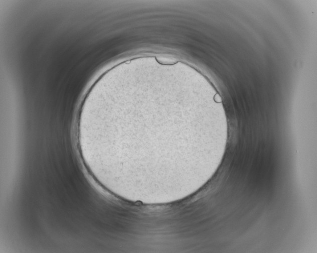 X0000111131531200908111029