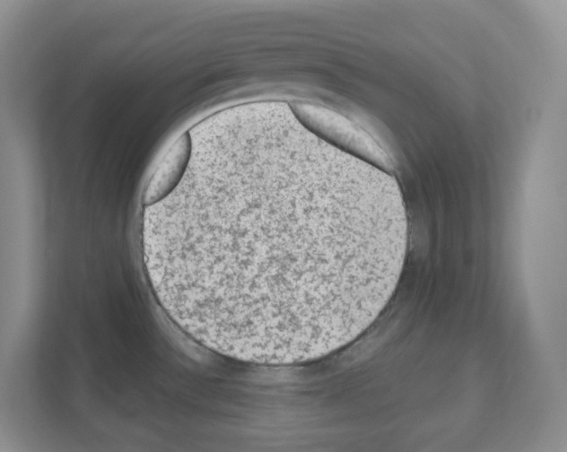 X0000111131532200908111029