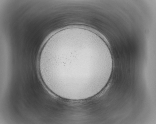 X0000111131533200908111029