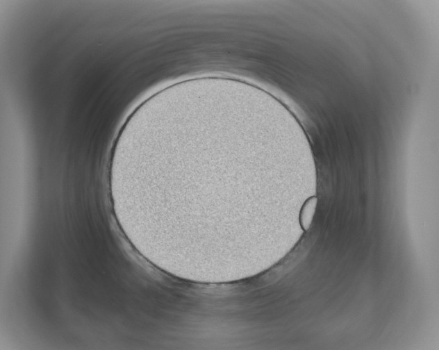 X0000111131534200908111029