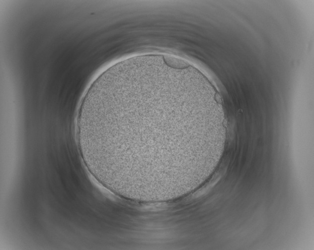 X0000111131535200908111029