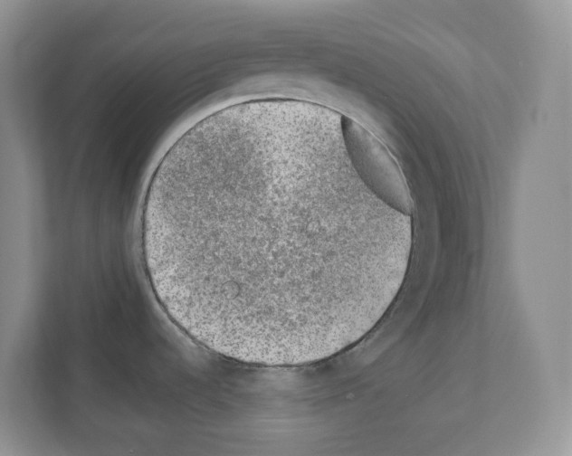 X0000111131536200908111029