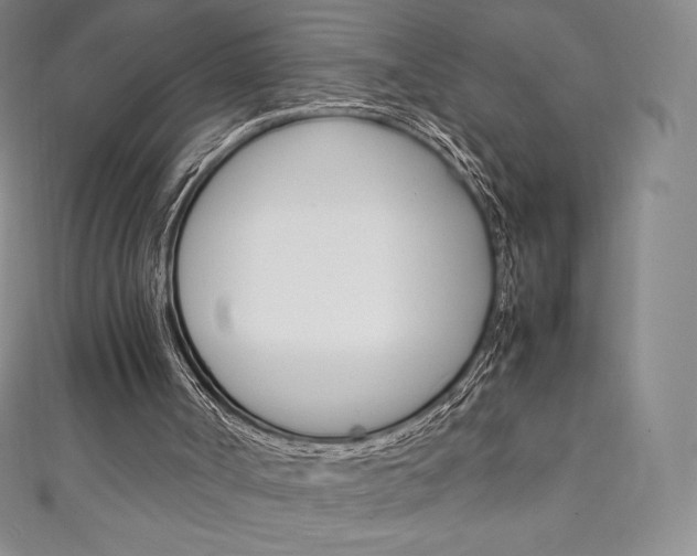 X0000111140002200906301026