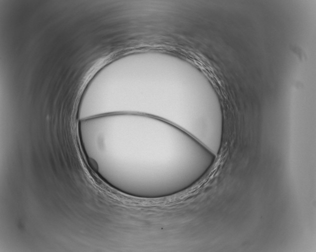 X0000111140003200906301026