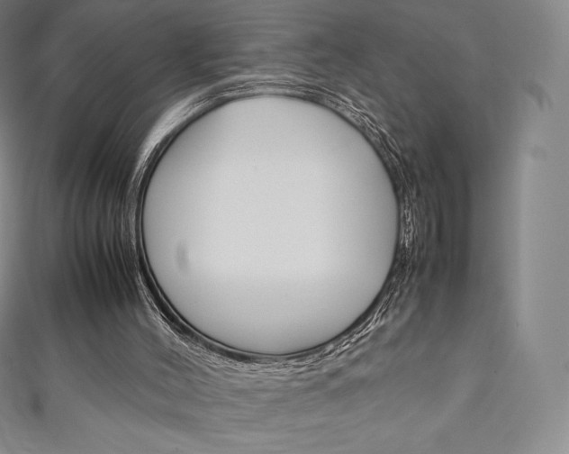 X0000111140004200906301026